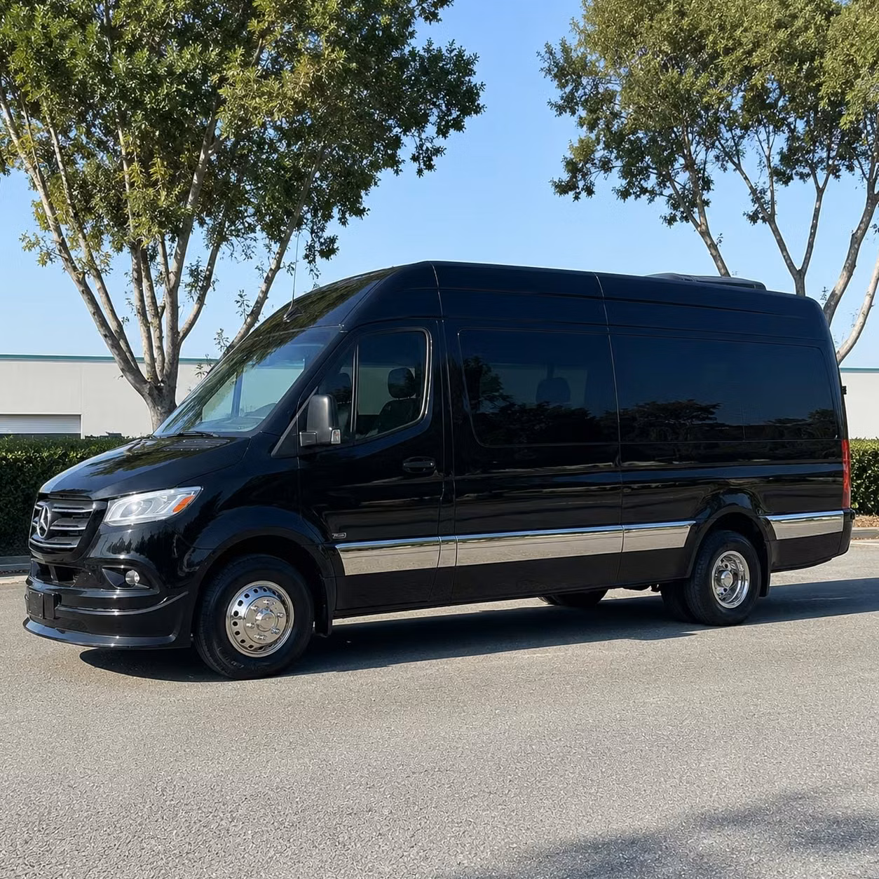 sprinter van with driver